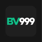 BV999 Game Logo