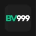 BV999 Game Logo